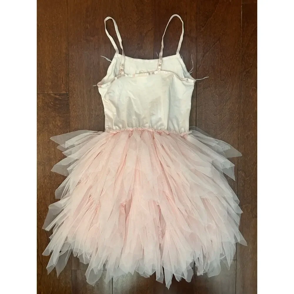 Blush Pink Tulle Ballet Costume Dress with Feather & Sequin Trim, Size 4/5